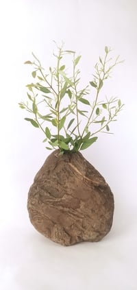 Image 1 of Interior vase for flowers
