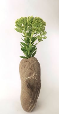 Image 3 of Interior vase for flowers - “Mebius”