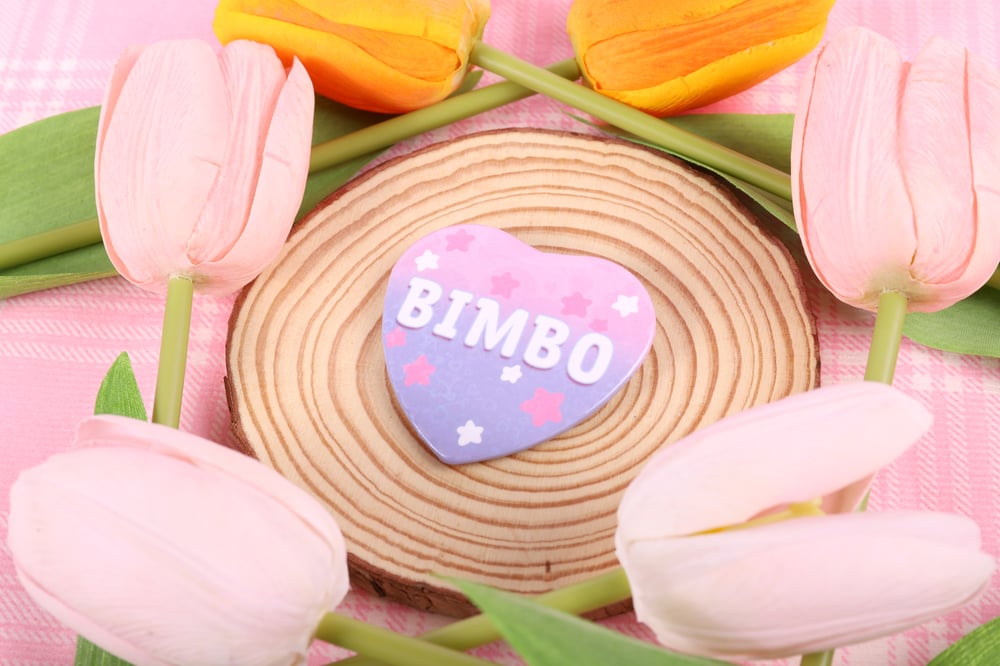 Image of Bimbo Heart Pin