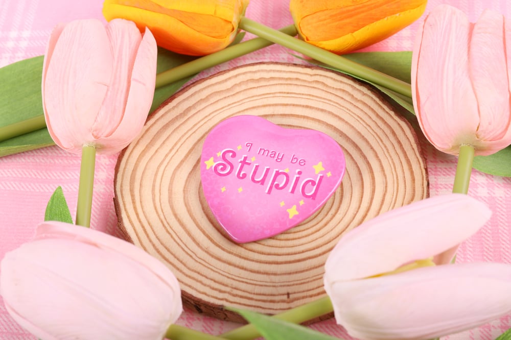 Image of I May Be Stupid Heart Pin