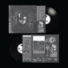 DEHISCENCE 12" VINYL