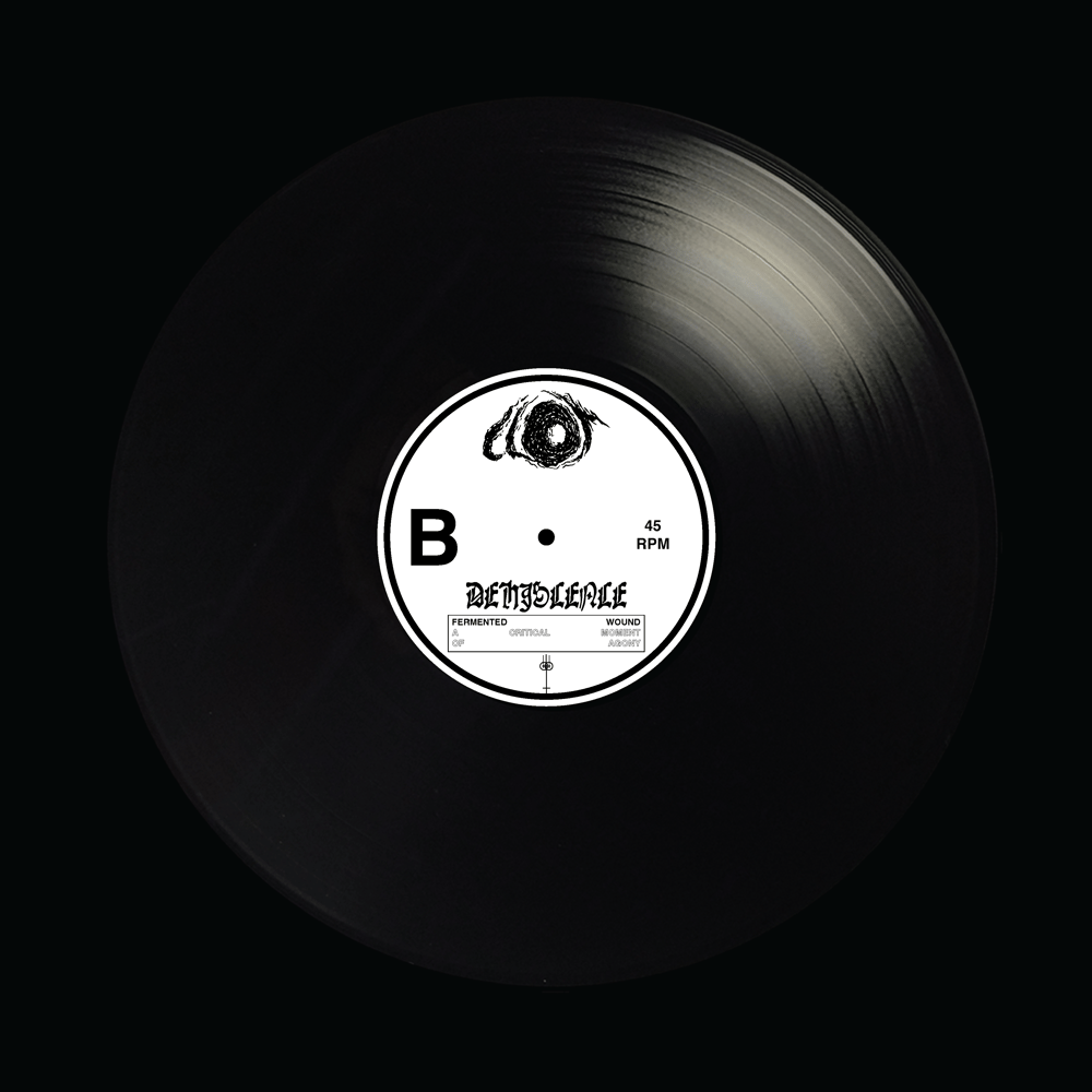 DEHISCENCE 12" VINYL