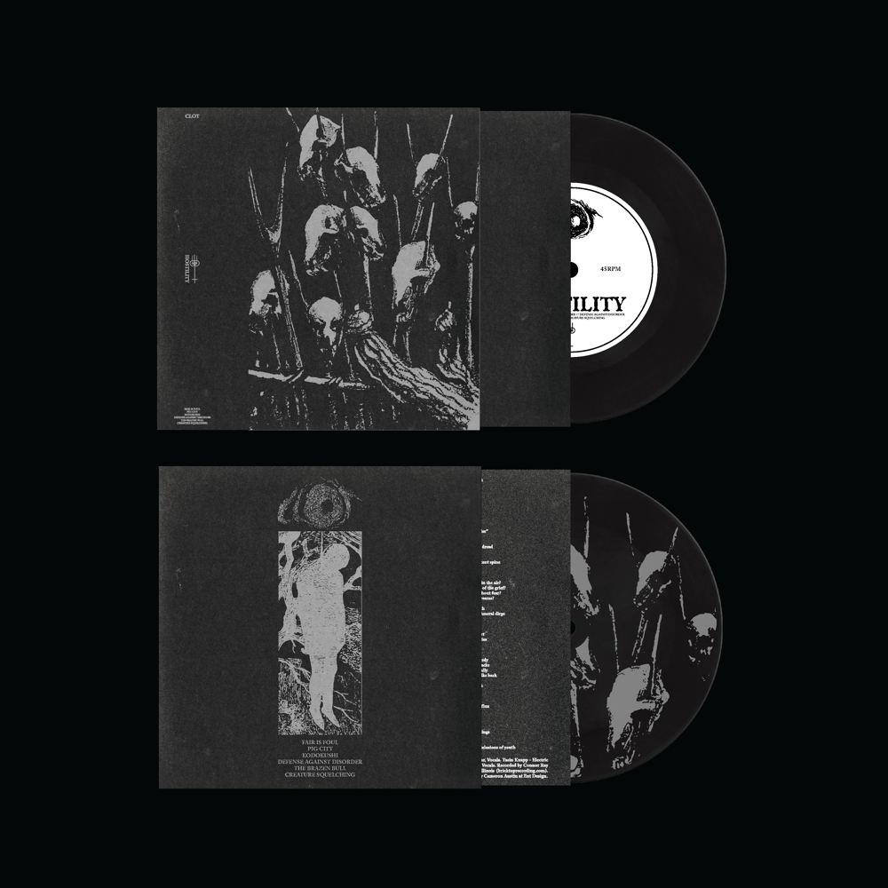 HOSTILITY 7" VINYL