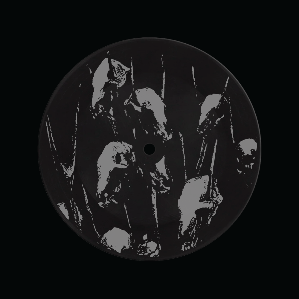 HOSTILITY 7" VINYL