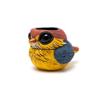 Image 2 of Kotori Ochoko: Oriental Dwarf Kingfisher