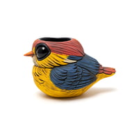 Image 1 of Kotori Ochoko: Oriental Dwarf Kingfisher