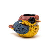 Image 4 of Kotori Ochoko: Oriental Dwarf Kingfisher