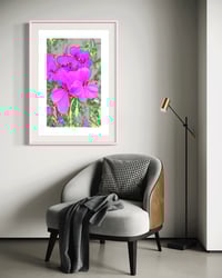 Image 2 of PURPLE HAZE (24X18)