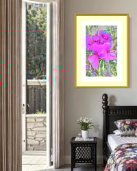 Image 3 of PURPLE HAZE (24X18)
