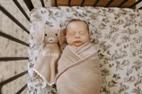 Image 6 of In Home Newborn Session (retainer)