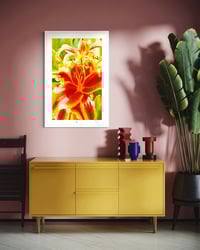 Image 4 of FIRE BREATHING LILY (24X18)