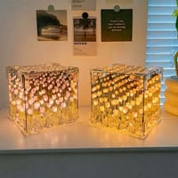 Tulip Cube  Mirror Night Lamp