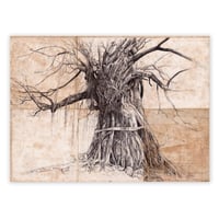 Image 1 of Canva Art Print - "Baobab sacré"