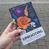 Uprooting: From the Caribbean to the Countryside – Finding Home in an English Garden