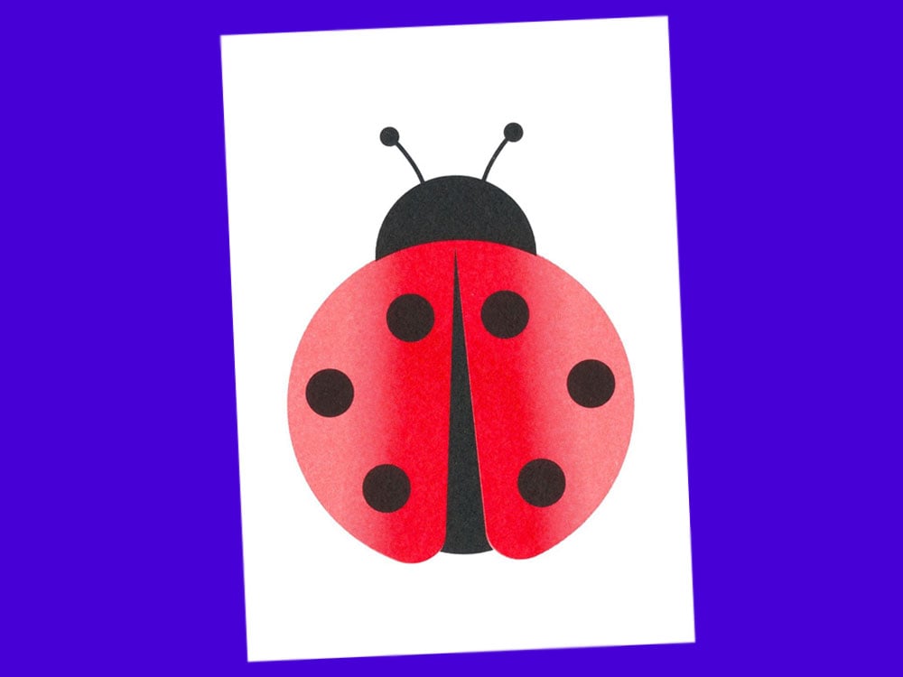 Image of POSTKARTE Ladybug