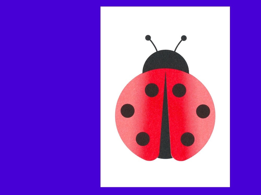 Image of POSTKARTE Ladybug