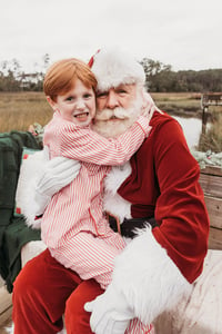 Image 2 of Santa Mini Sessions 11/3/24