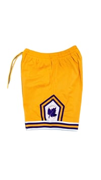 Image 1 of Lakeshore Living Ball Shorts