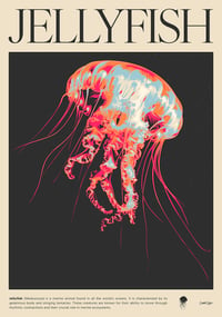 JELLYFISH