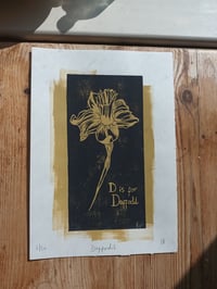 Image 3 of Daffodil