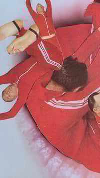 Image 3 of 'Tracksuit Mafia'
