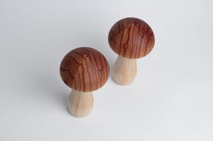 Image of Mycena (rosewood)