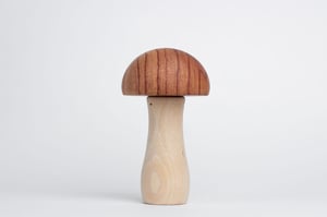 Image of Mycena (rosewood)