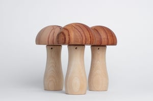 Image of Mycena (rosewood)