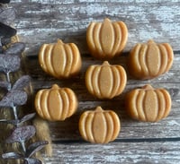 Spiced Pumpkin Latte Wax Melts (Pack of 3)