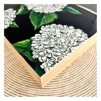 Image 4 of Hydrangea : Original Art by Heather Lacroix