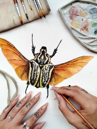 Image 2 of Goliath Beetle Watercolor Illustration PRINT 