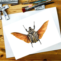 Image 4 of Goliath Beetle Watercolor Illustration PRINT 