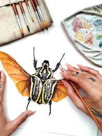 Image 7 of Goliath Beetle Watercolor Illustration PRINT 