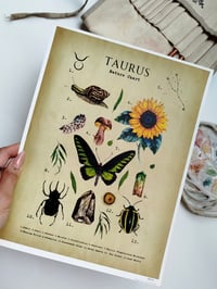 Image 8 of Vintage Taurus Nature Chart