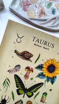 Image 11 of Vintage Taurus Nature Chart