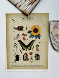 Image 12 of Vintage Taurus Nature Chart