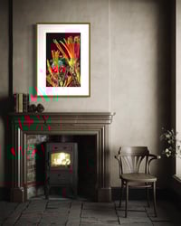 Image 2 of SPROUTING ORANGE (24X18)