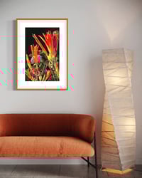 Image 4 of SPROUTING ORANGE (24X18)