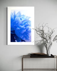 Image 3 of BLUSHING BLUE PEONY (24X18)