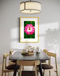 Image 2 of FLORAL PERFECTION (24X18)