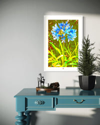 Image 2 of AGAPANTHA IN THE BREEZE (24X18)
