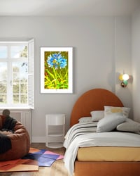Image 4 of AGAPANTHA IN THE BREEZE (24X18)