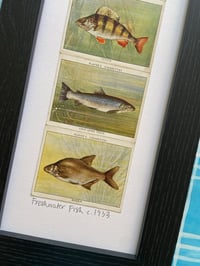 Image 18 of Framed 1930s Collectors Cards inc Motor Cars, Aeroplanes, Yachts, Film Stars, Dance and Exercise