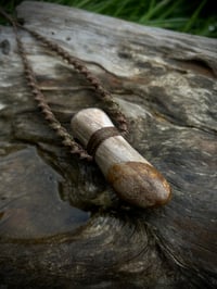 Image 3 of Petrified wood2