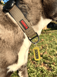 Image 2 of Dog Tag, Pet ID Tag