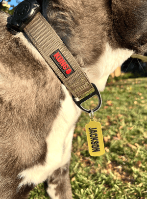 Image of Dog Tag, Pet ID Tag