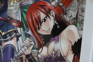 Image of Fairy Tail Guild SIGNED HIRO MASHIMA Japan Exhibition ART PIECE