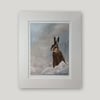Hare in Snow (mounted print)
