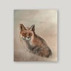Frosted Fox