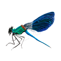 Demoiselle Damselfly 